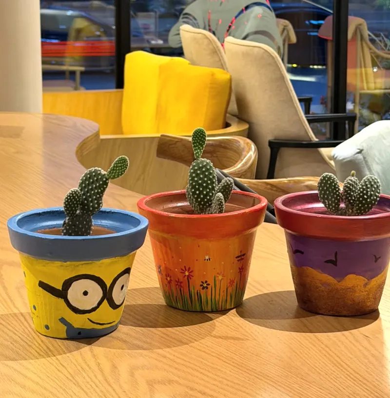 Colourful hand-painted cactus pots with character, floral and sunset designs